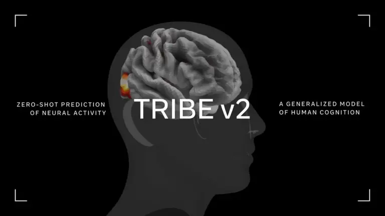 Meta TRIBE v2